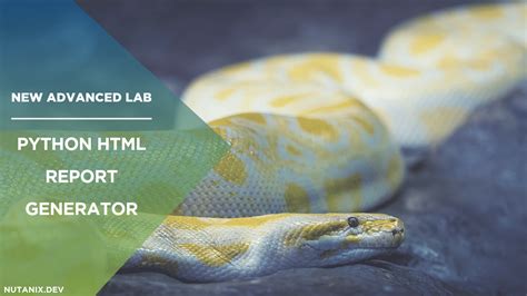 Image result for Python Report Generator