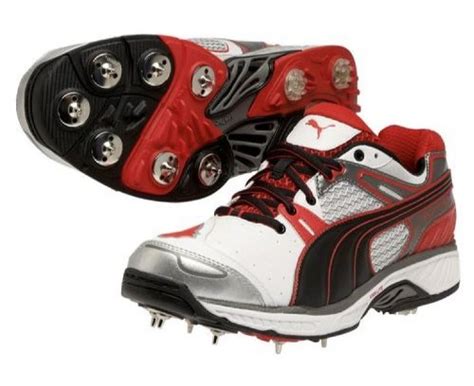 Buy Puma Men's Platinum Convertible Spike White Sport Cricket Shoes at ...
