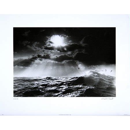 Belfast Photos - Featured Images of Belfast, Mid Coast Maine - Tripadvisor