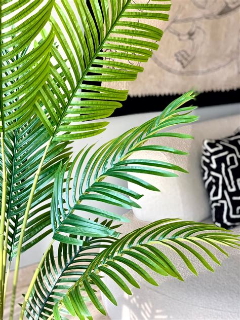 Plants & Planters – Mason Home by Amarsons - Lifestyle & Decor