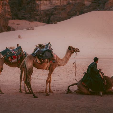 COULTURE TRIPS (2025) All You Need to Know BEFORE You Go (with Photos ...