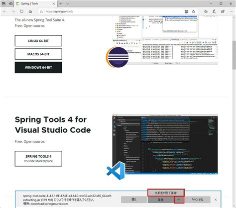 Image result for STS Version with Java8 Compiler Download