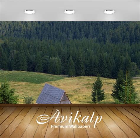 Avikalp Exclusive AWI1051 Nature HD Wallpapers for Living room, Hall ...