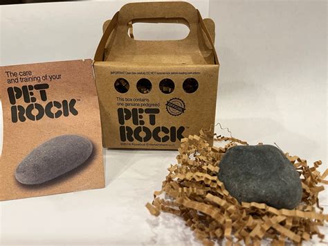 My Pet Rock
