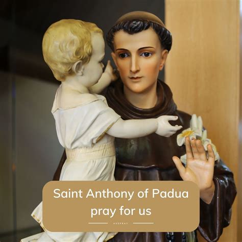 Saint Anthony of Padua: Remarkable Life and Miracles – AvePray