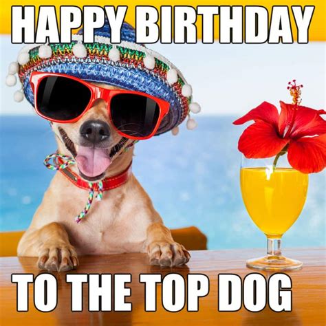 15 Funny Happy Birthday Memes For Your Boss