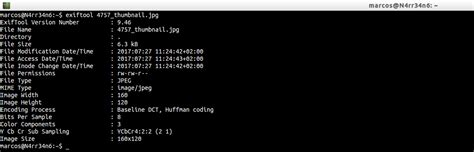 ExifTool Install 的图像结果