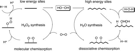 Phenol (PhOH) enzymatic polymerization mechanism in the presence of HRP ...