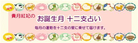 【朗報】野呂佳代さん、6月スタートの新ドラマ「ナイト・ドクター」で月9デビュー！：地下帝国-AKB48まとめ