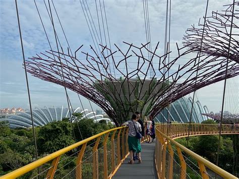 OCBC Skyway (Singapore) - 2020 What to Know Before You Go (with Photos ...