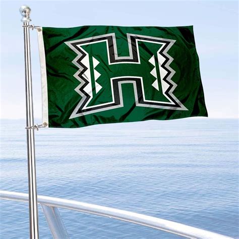 Buy College Flags & Banners Co. Hawaii Golf Cart and Boat Flag Online ...