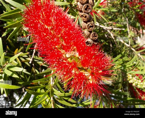 Asuncion, Paraguay. 21st Sep, 2018. A warm sunny day in Asuncion with ...
