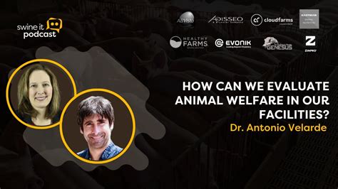 Image result for Velarde FastStack