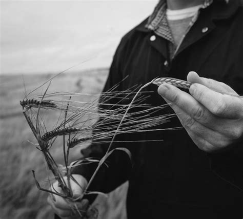 Image result for FDC Program