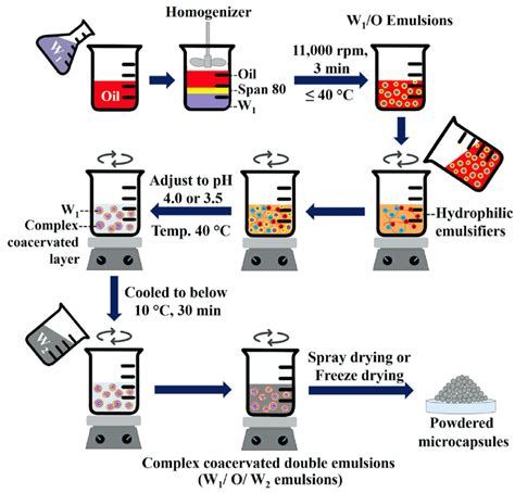 Formulation Strategies to Improve the Stability and Handling of Oral ...