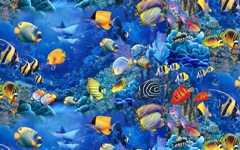 Image result for Live Fish Background PC