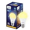 Buy Philips 18-watt LED Bulb | AceBright High Wattage LED Bulb | Base ...