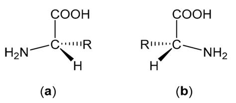 Methods to Enhance the Metabolic Stability of Peptide-Based PET ...