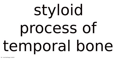 Image result for Temporal Styloid Process Anatomy