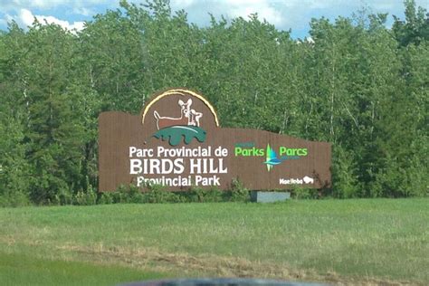 Birds Hill Provincial Park, Winnipeg - TimesTravel