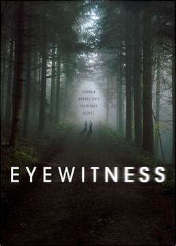 《目击证人》全集-电视剧-免费在线观看
