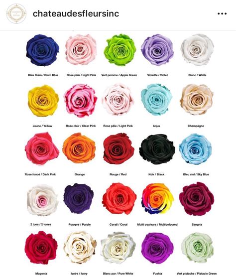 Rose Color Chart Meanings Rose Color Meanings Yellow