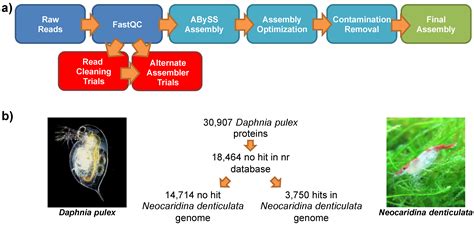 Genomic Sequence and Experimental Tractability of a New Decapod Shrimp ...