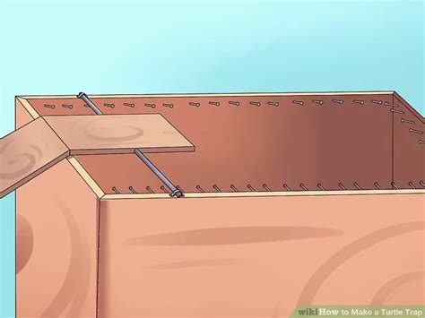 Image result for Building a Turtle Trap