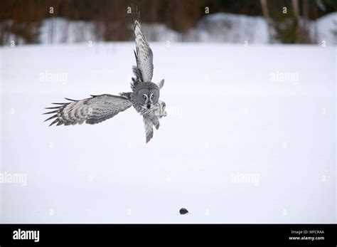 Image result for Simple Unity Game Tutorial