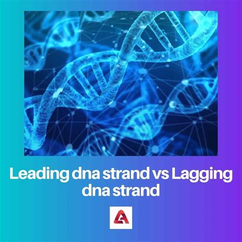 Leading vs Lagging DNA Strand: Difference and Comparison