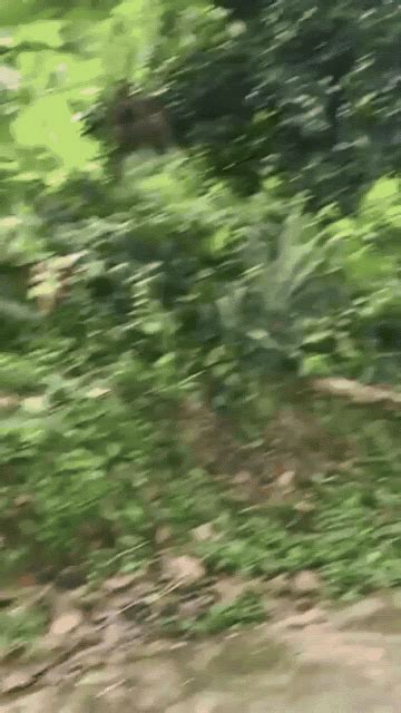 Man Slipping on Road Caught on Camera – Viral Hook