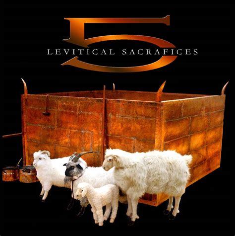 The Significance of the Five Levitical Sacrifices and offerings in Judaism.