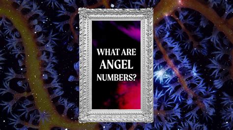 Angel Number 2323 Spiritual Meaning: Love, Career, Twin Flame