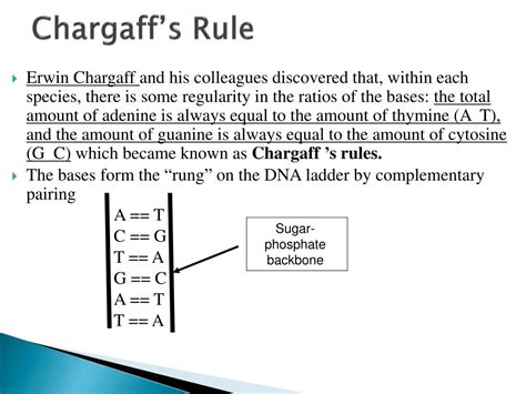 PPT - DNA STRUCTURE PowerPoint Presentation, free download - ID:1397276