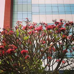 Emerson Process Management India Private Limited - Automation company ...