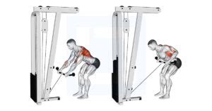 Image result for Cable Machine Bent Over Row