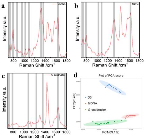 Label-Free Detection of DNA via Surface-Enhanced Raman Spectroscopy ...