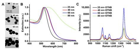 Effect of Cetuximab-Conjugated Gold Nanoparticles on the Cytotoxicity ...