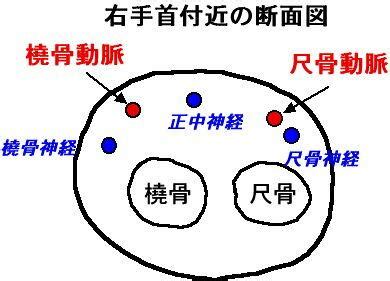 Image result for Pyhton Coding Image