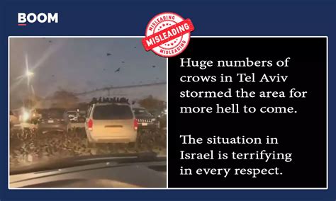 Old Video Of Flying Crows Viral As Recent Scene From Israel | BOOM