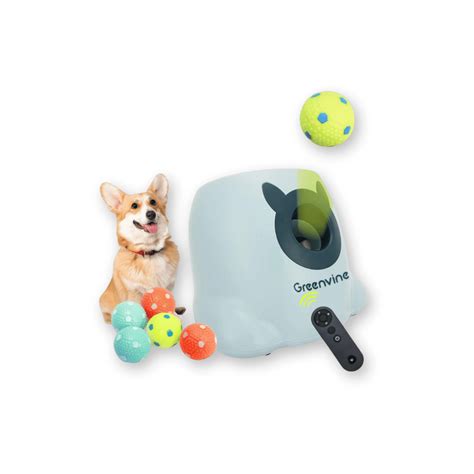 7 Best Dog Ball Launchers to Keep Your Pet Active in 2025 - DogTime
