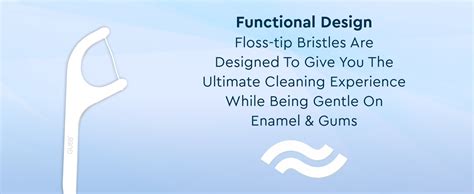 GUBB Dental Floss Toothpicks - Oral Hygiene Essential for Men & Women ...