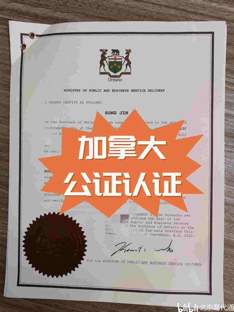 加拿大无犯罪记录/未刑证明申请/中国驻加拿大领事馆认证 - 哔哩哔哩