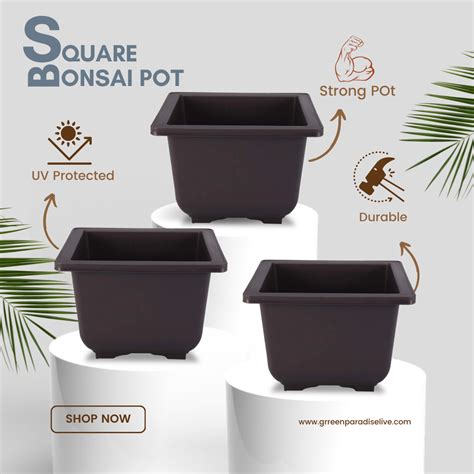 Green Paradise® Bonsai Pots Plastic Bonsai Training Pots (Square )(pur ...