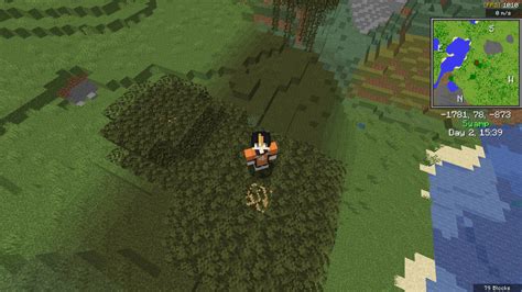 Image result for Minecraft Seeds Java Small Swamp