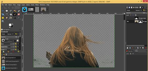 Image result for GIMP Tutorial On Removing Any Background