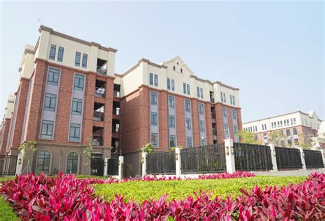 江门全力破解学位不足：快建公办学校，发展民办教育_直播江门