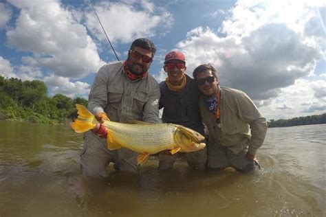 Honey SportFishing - Corrientes | Tripadvisor
