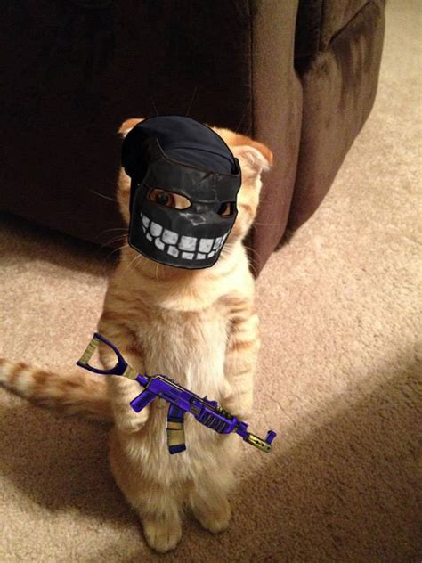 Image result for Rust Cat