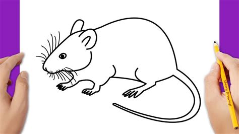 Image result for Simple Mouse Drawing